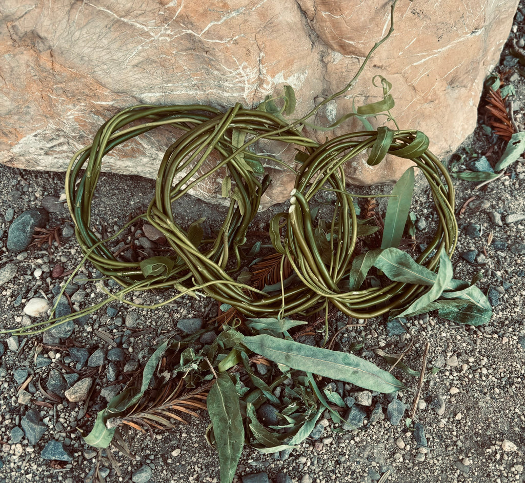 Willow Wreath (bare) (3 pack)