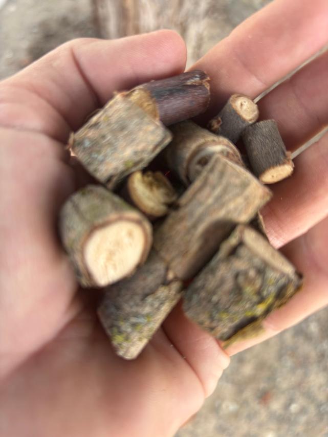Willow Bites (Qty: 15)