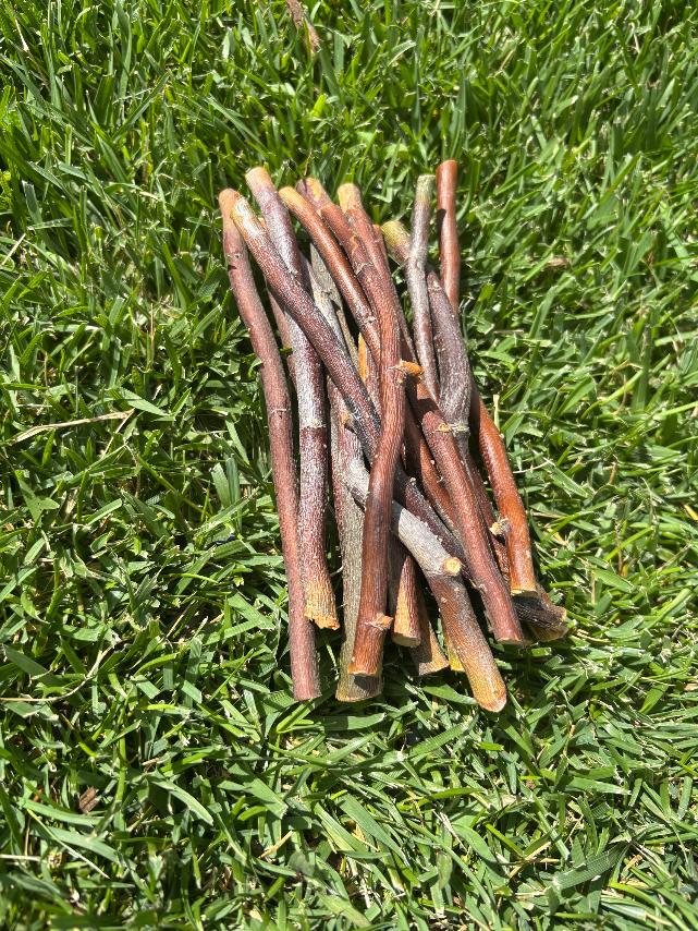 Willow Sticks (Qty: 15)